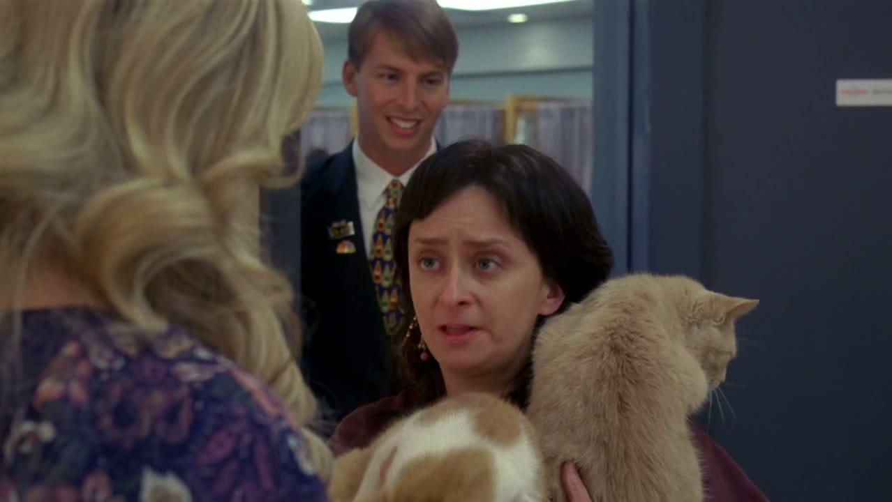 I'm here to introduce you to feline actors