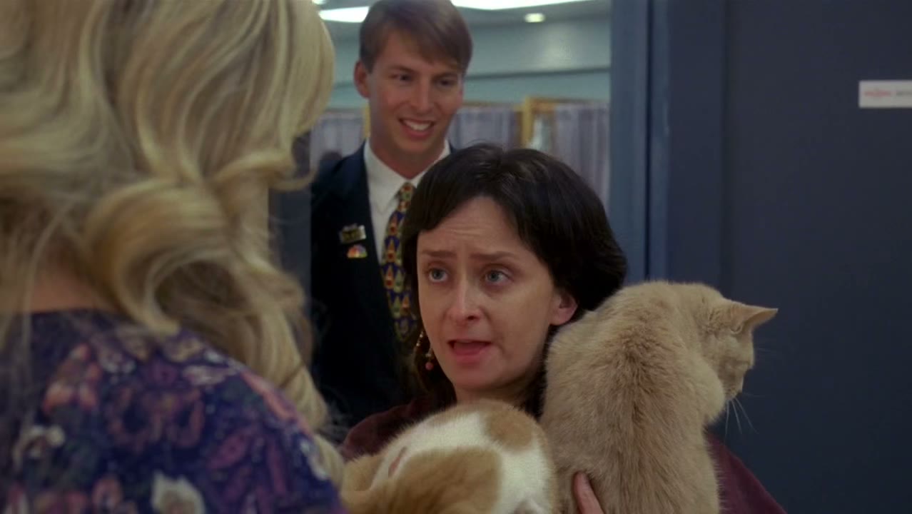 I'm here to introduce you to feline actors