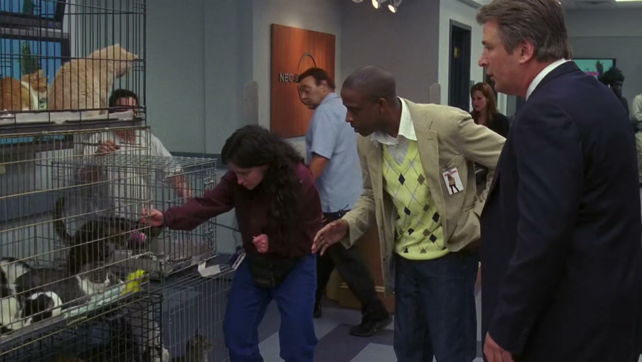 Which cat? Oh.