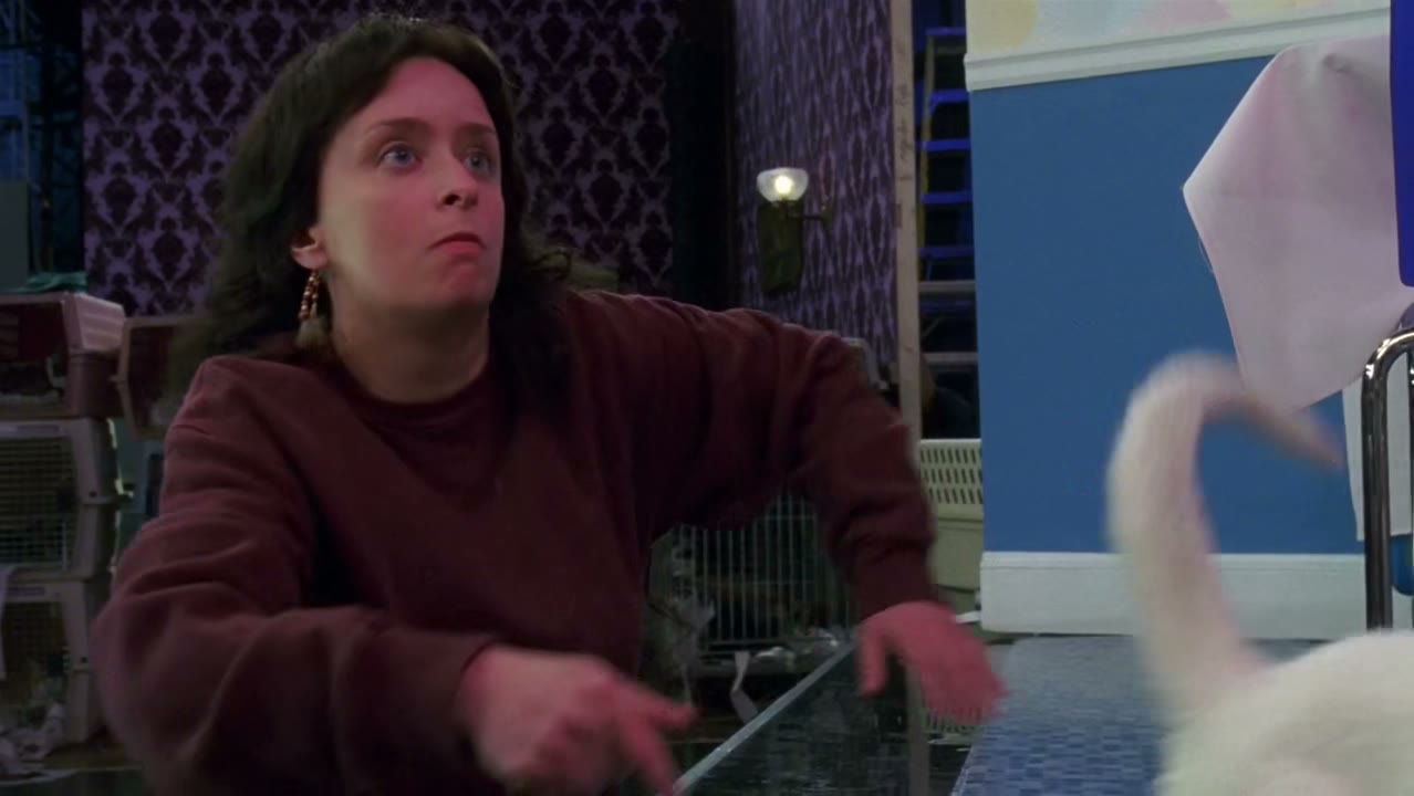 [Meowing]