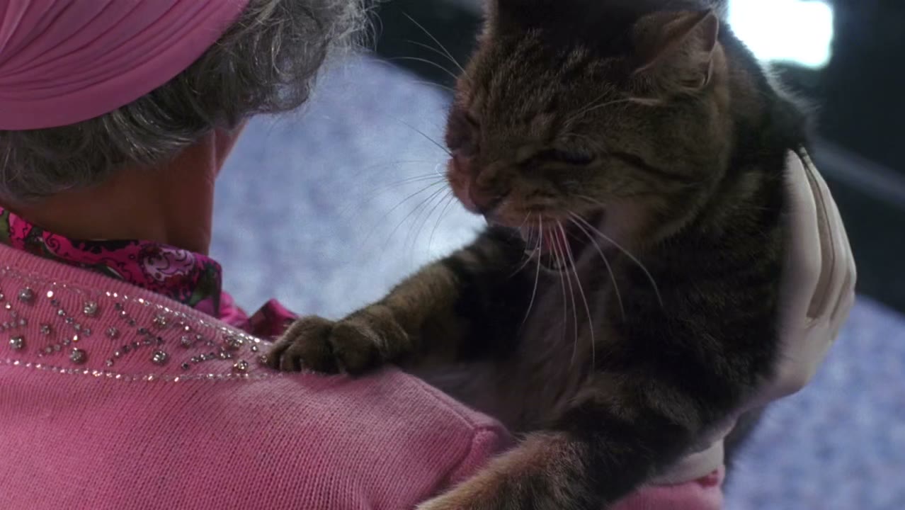 And sir, while they are my--[hissing]