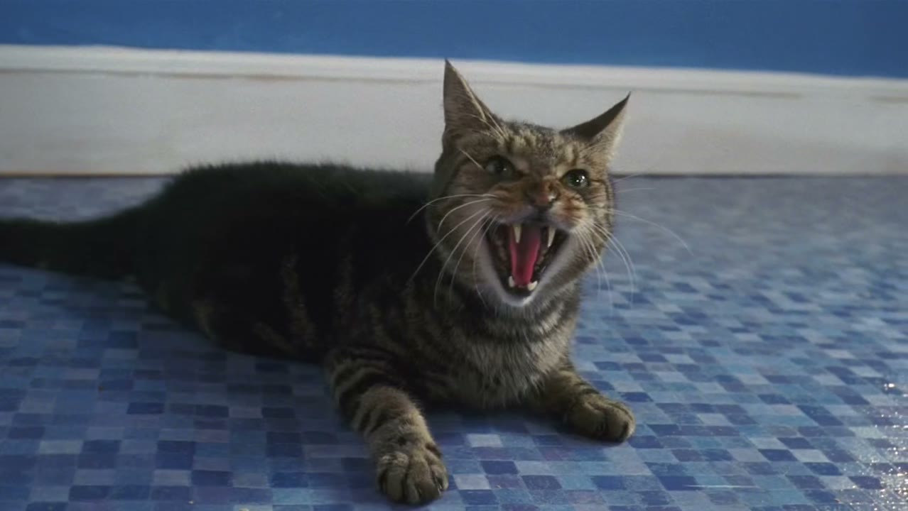 [Hissing]