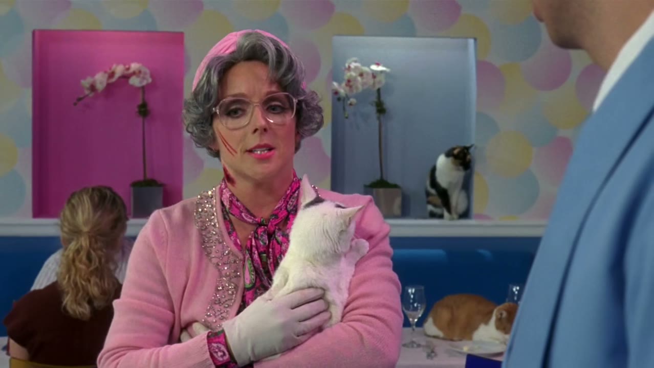 These cats are more than just pets, sir.