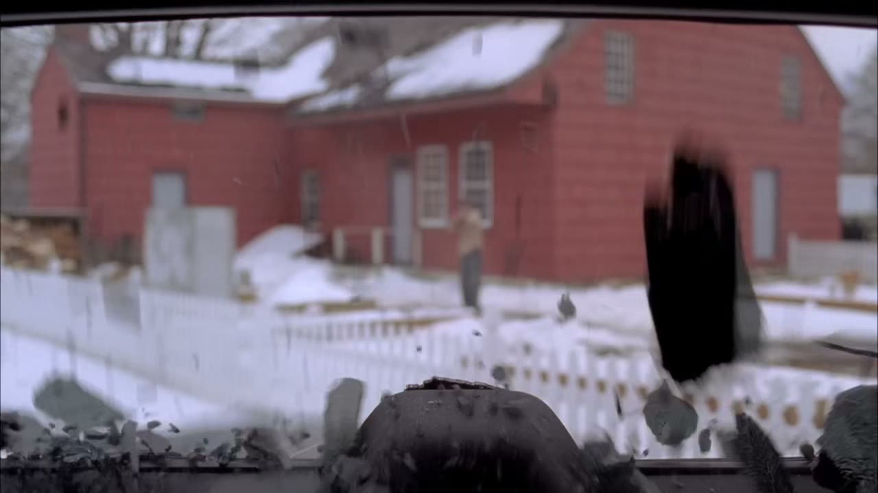 [Gunshot]