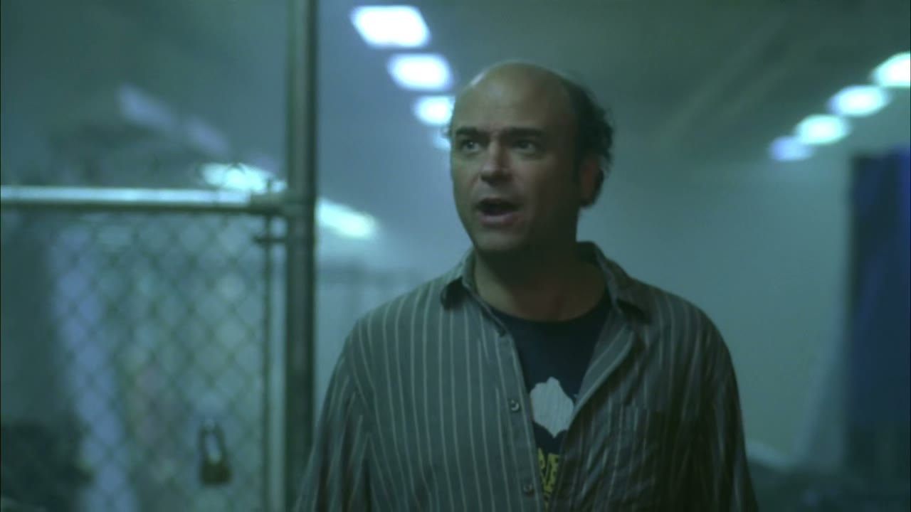 What the hell is going on down here?