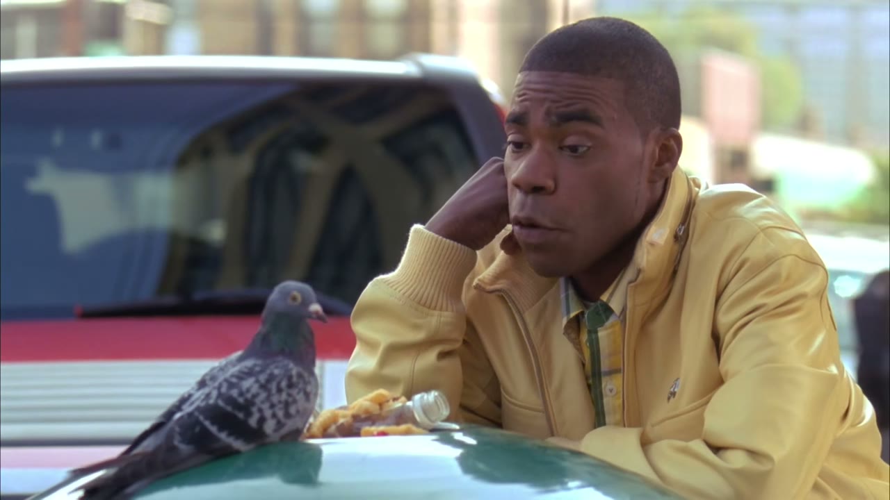 Stop eatin' people's old french fries, pigeon.