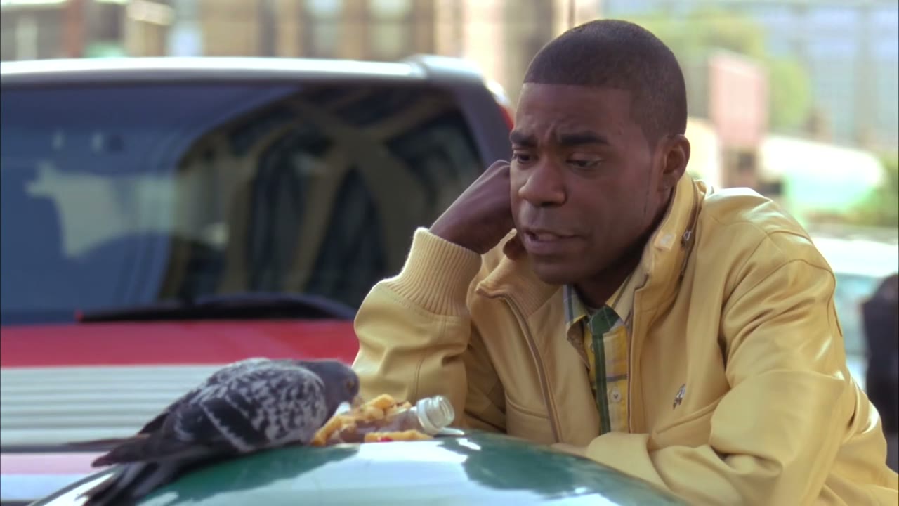Stop eatin' people's old french fries, pigeon.