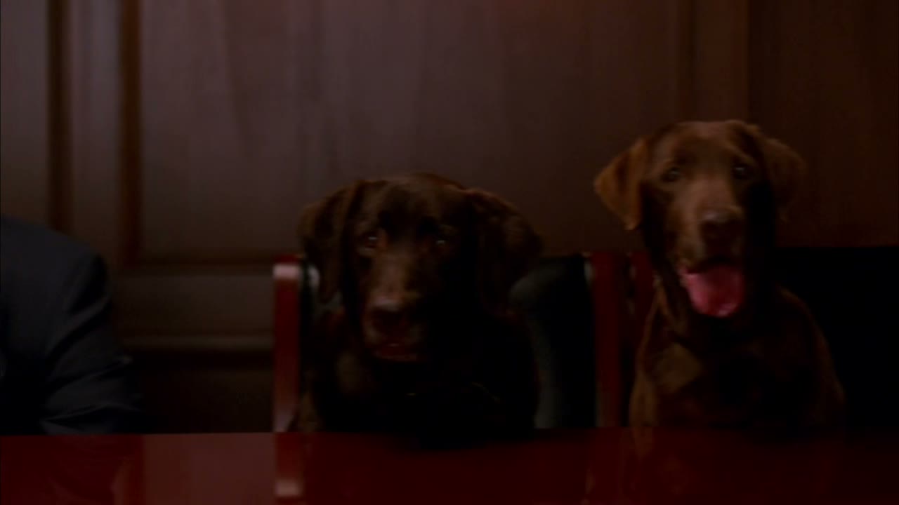 And his hunting dogs.