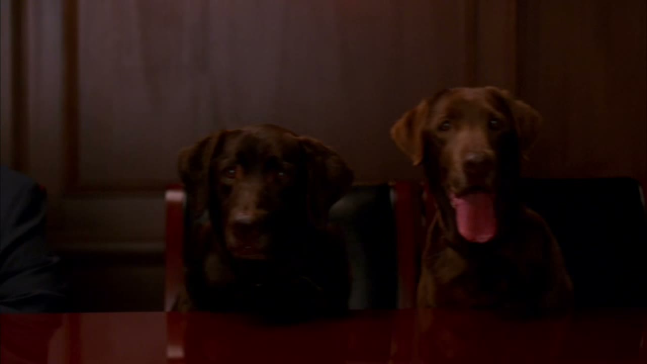 And his hunting dogs.
