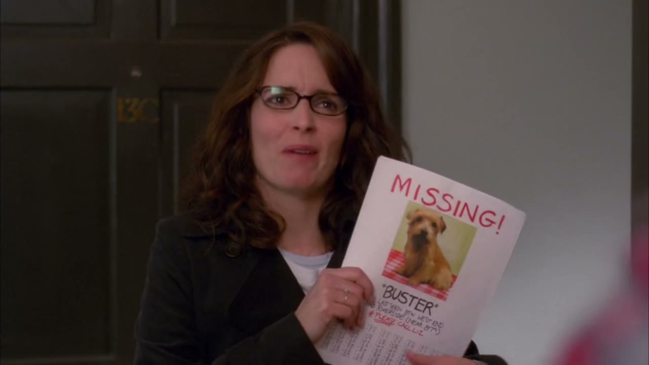 My dog ran away!