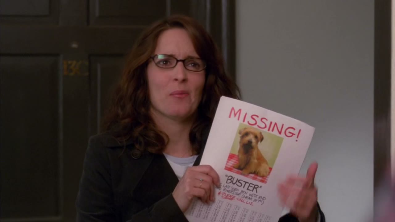 My dog ran away!
