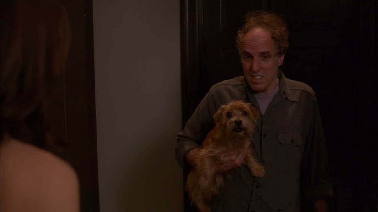 Just put him down.
