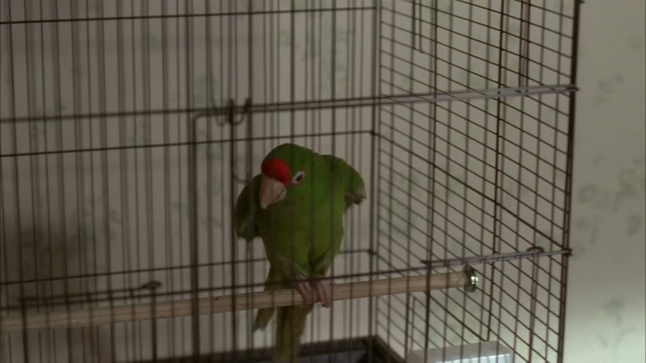 Don't go in the bedroom!