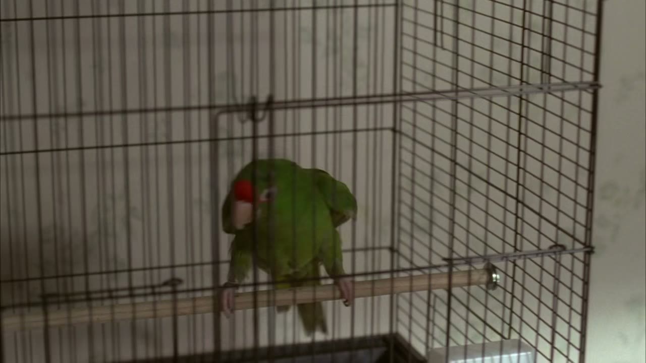 Don't go in the bedroom!