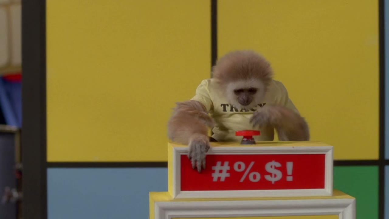 - what is this? - [buzz]