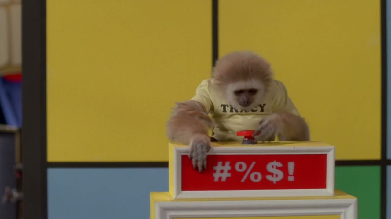 - what is this? - [buzz]