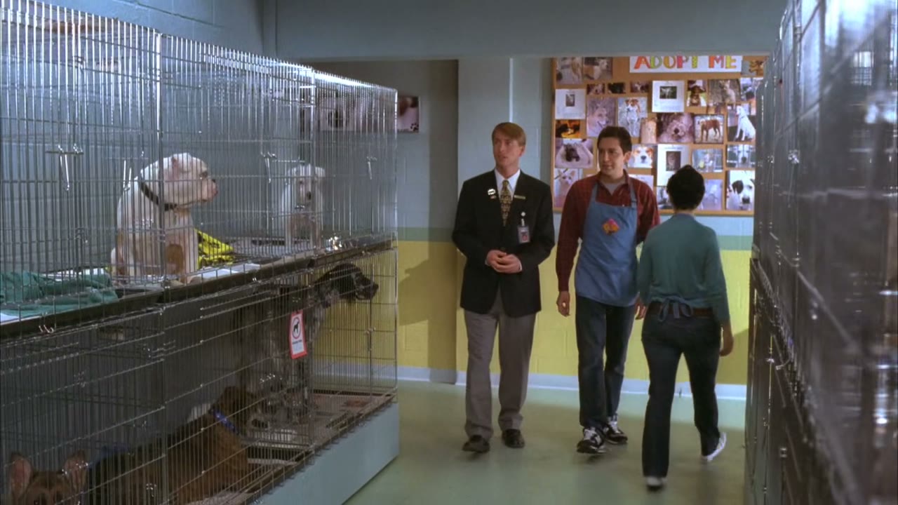 Unfortunately, we're not gonna be able to find homes for all these animals.