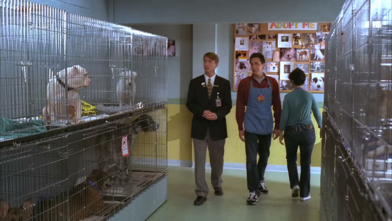 Unfortunately, we're not gonna be able to find homes for all these animals.