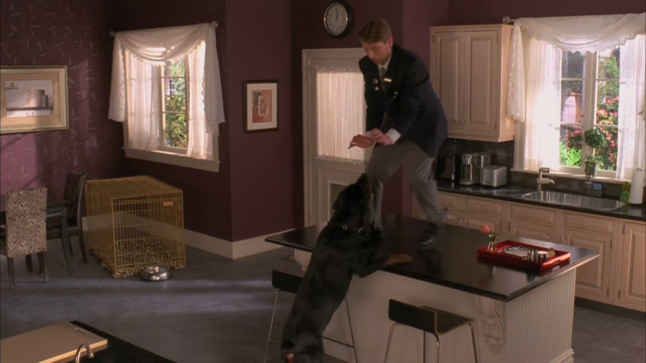 [Dog snarling] - AAH!