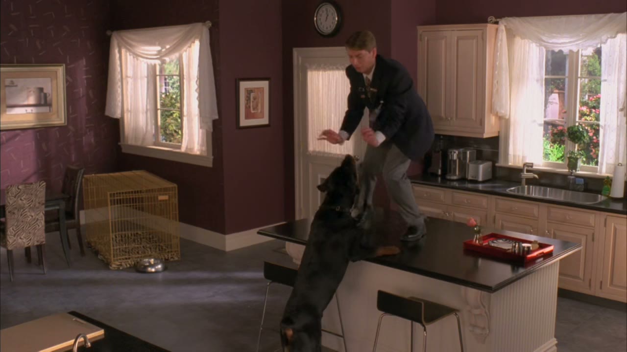 [Dog snarling] - aah!