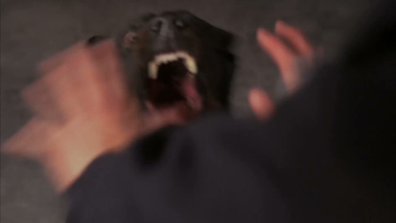 Good monster!