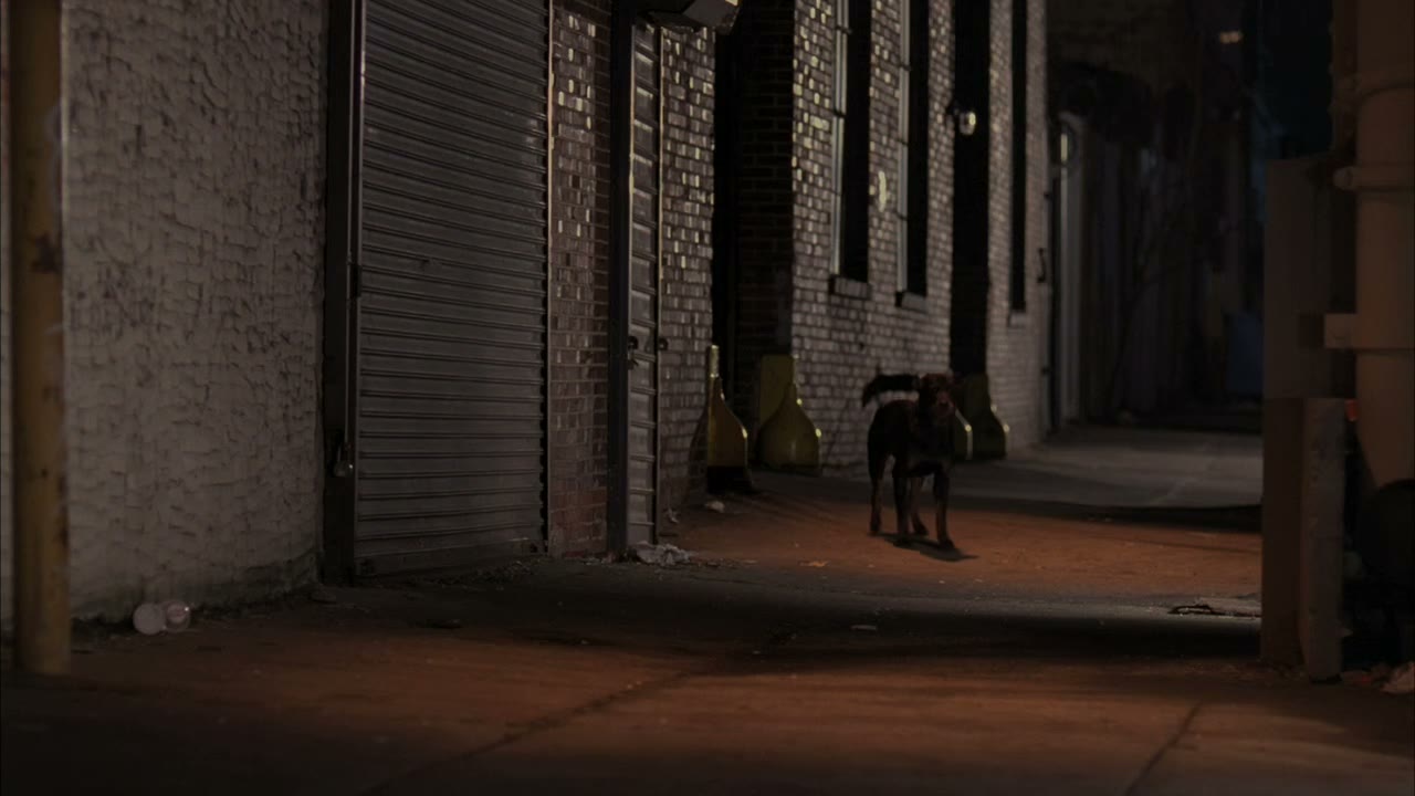 [Dog barking]