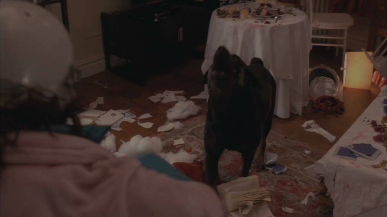 [Dog barking]