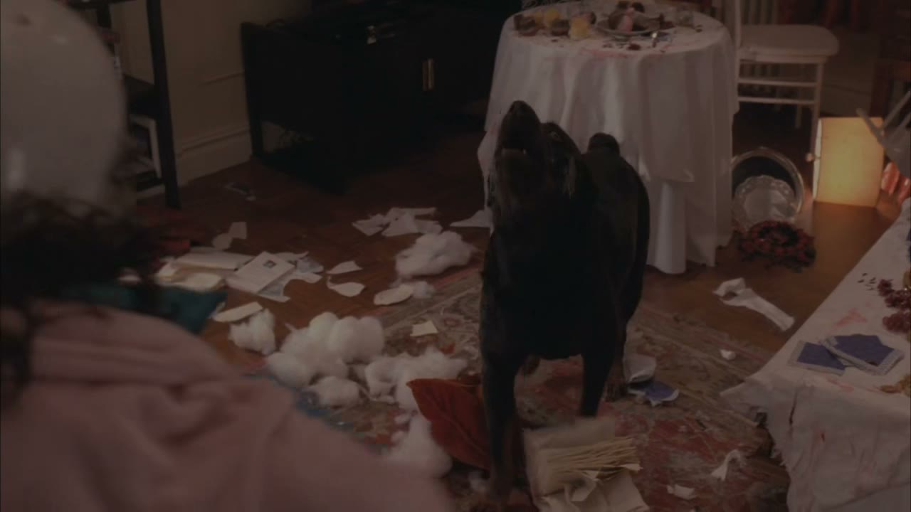 [Dog barking]