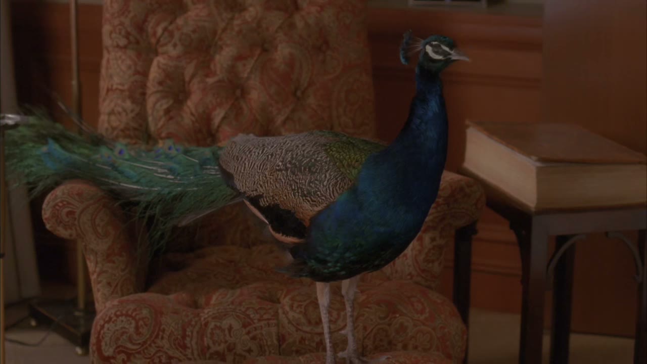 He and I would sit on the veranda of his