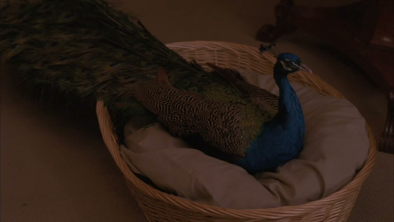 Oh, my.