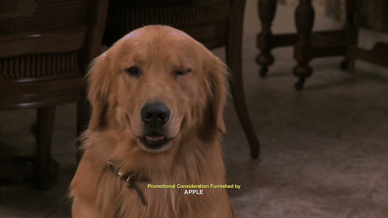 - uh-oh. Ain't life a bitch?
