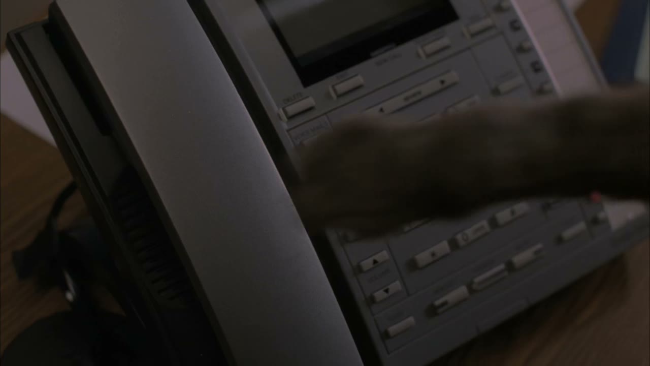 [Meows]