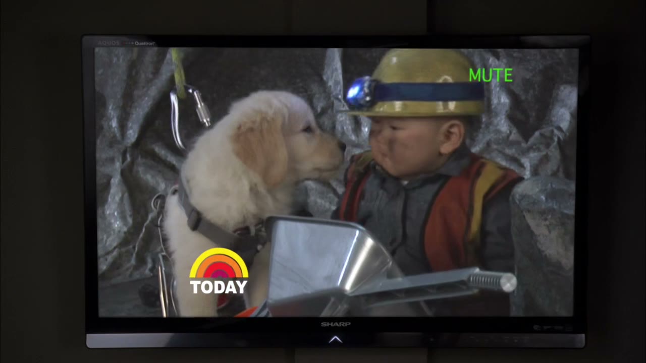 So they're lowering down puppies to bring in supplies.