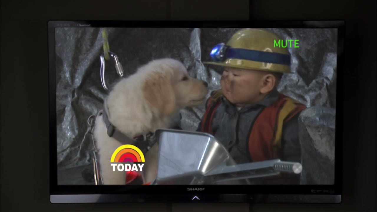So they're lowering down puppies to bring in supplies.