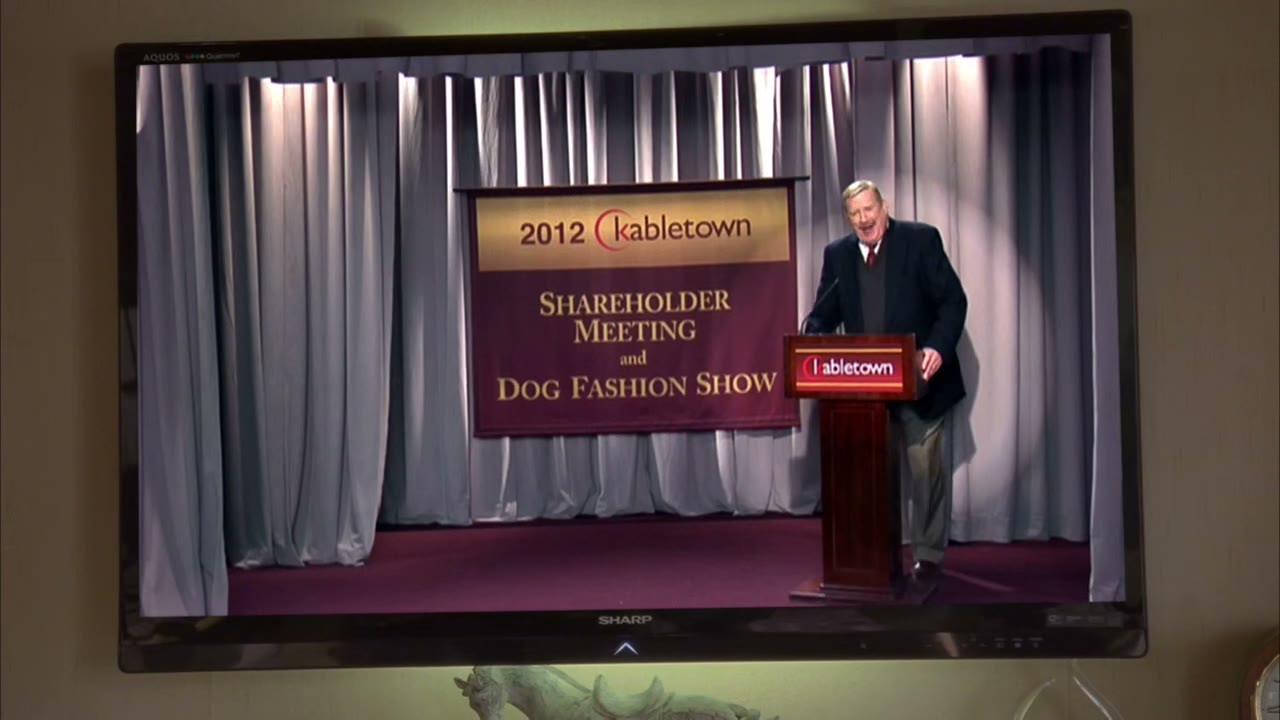 So now, let's get this dog fashion show started!