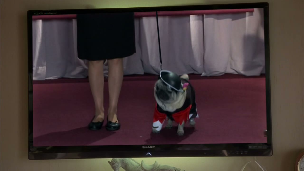 "Dogbeard the pirate just sailed into woof harbor."