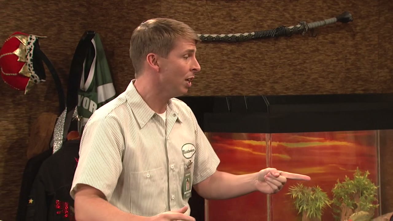 That time Mr. Lutz was an extra