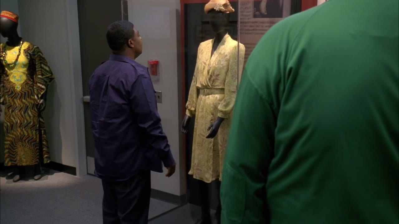 - that dress belonged to rosa parks.