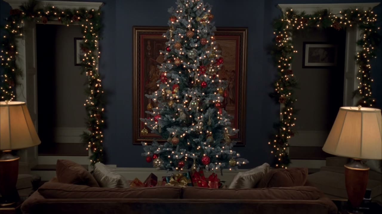 - a blue spruce.
