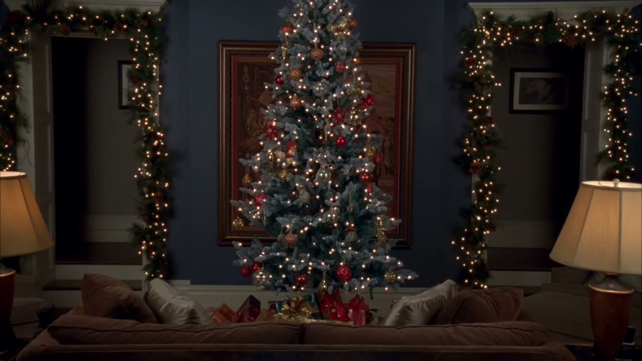 - a blue spruce.